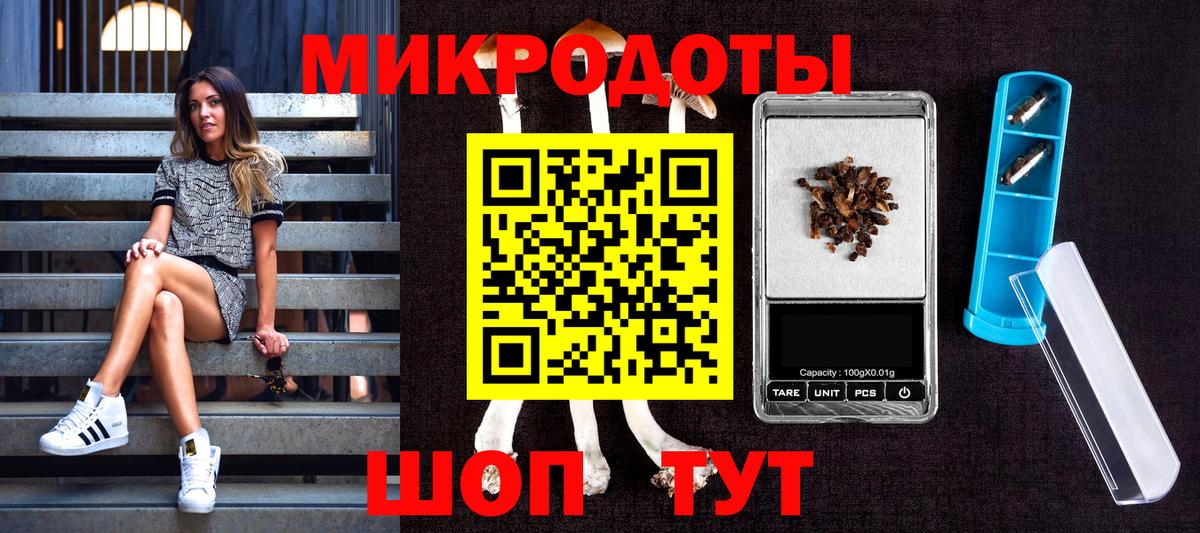Галлюциногенные грибы Cubensis  Вход с VPN  закладка  Пугачёв  Галлюциногенные грибы Psilocybine cubensis 