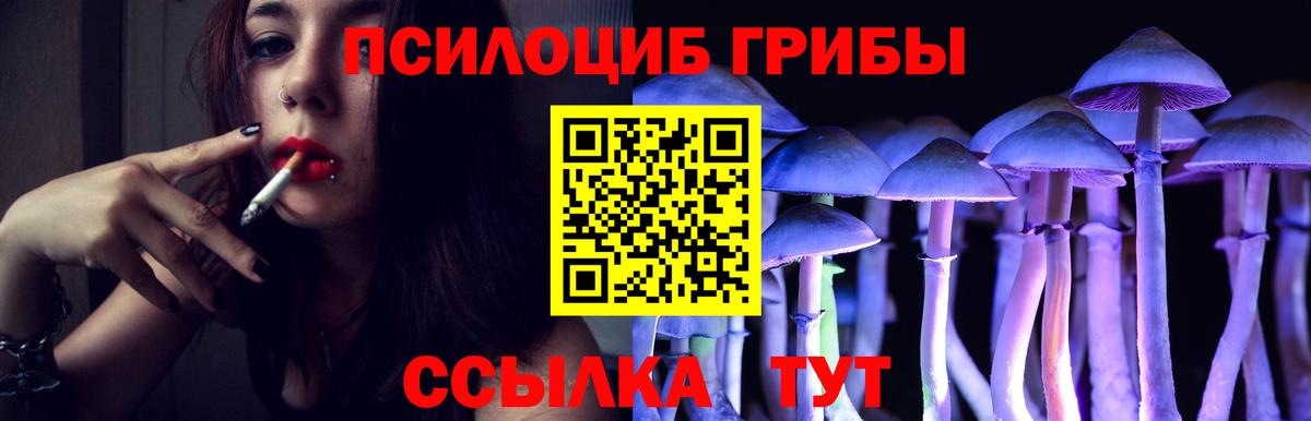 Псилоцибиновые грибы мухоморы Пугачёв